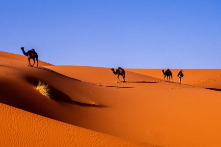 Les Trésors Cachés du Maroc : Un Voyage Inoubliable avec « Morocco With You »