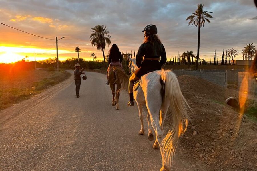 Balade cheval Palmeraie