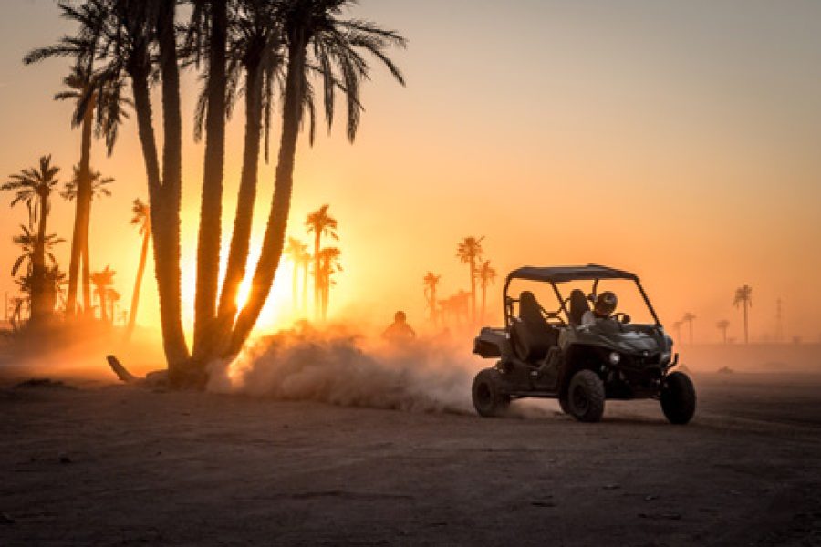Buggy Palmeraie