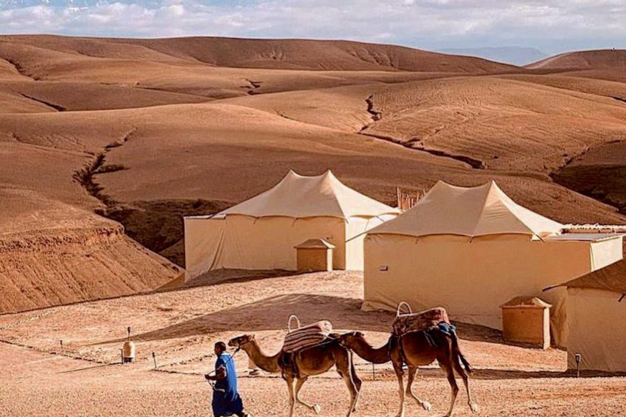 Balade dromadaire désert d’Agafay